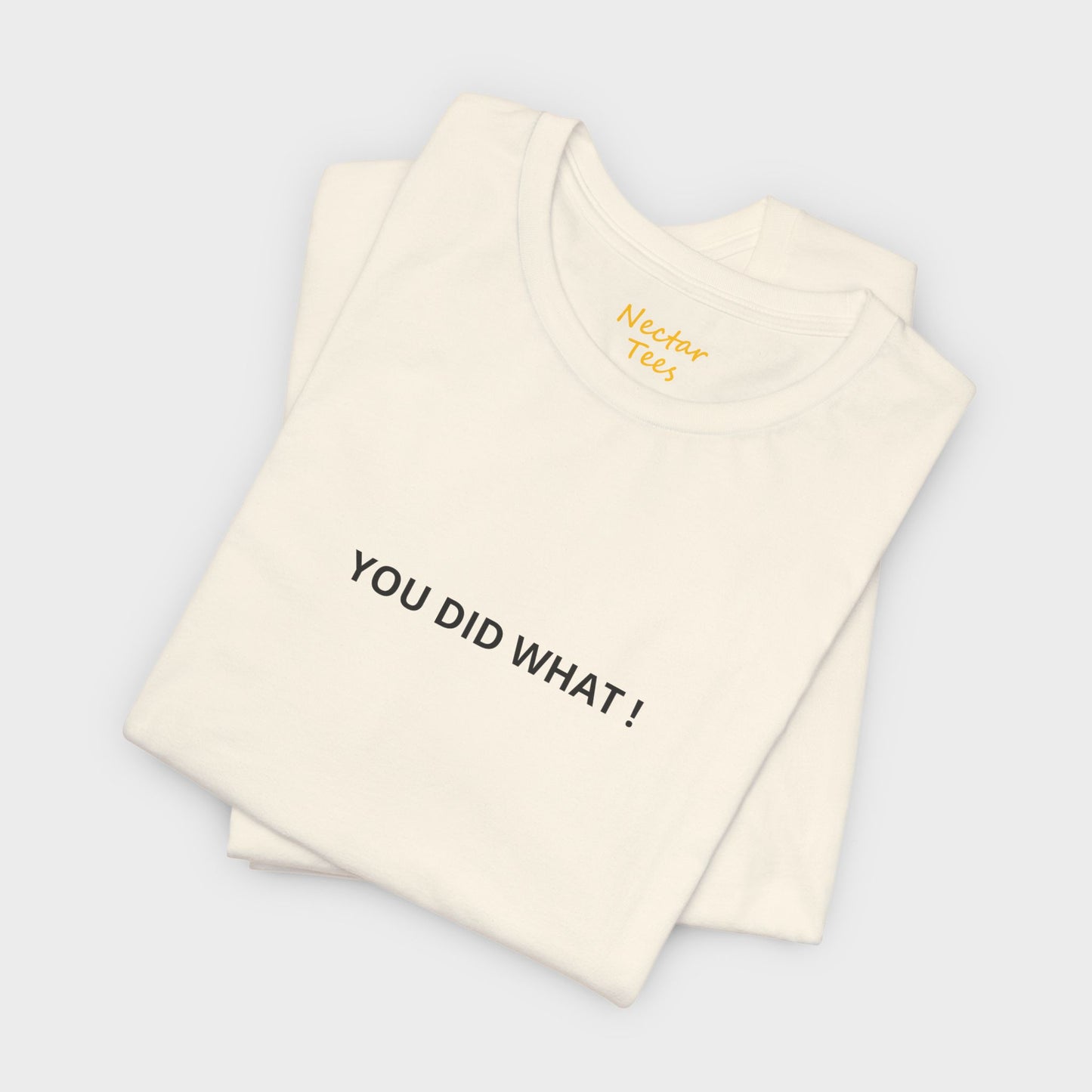 You did what. T-Shirt
