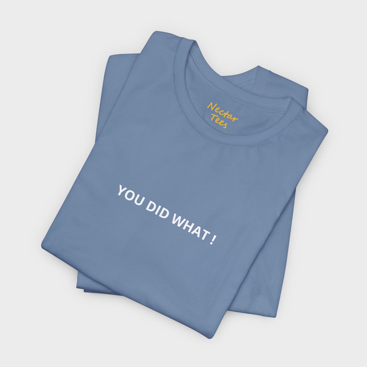 You did what. T-Shirt